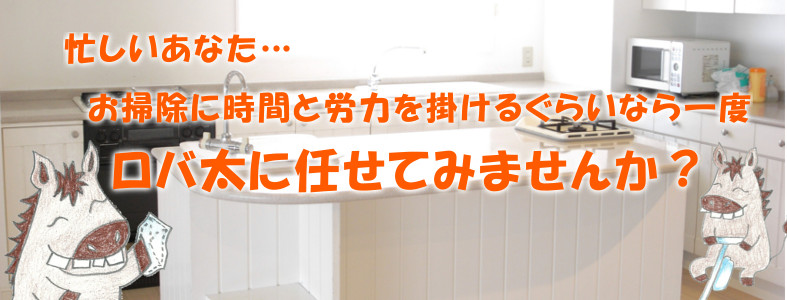 滋賀・京都でお掃除屋をお探しならロバさんマークのおそうじや『ロバ太』
